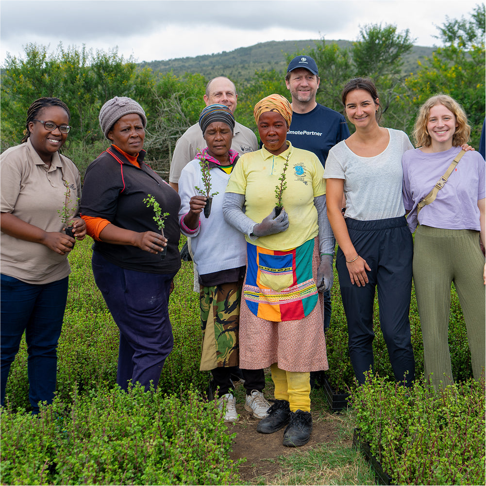 Unterstütze unser Spekboom-Projekt in Südafrika